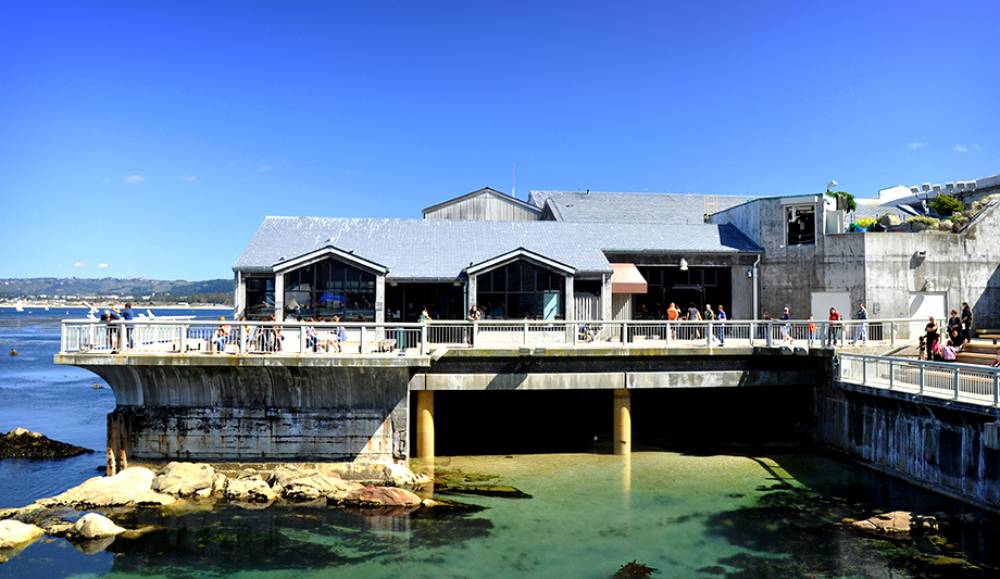 SSDC: Arecont Vision Video Surveillance Deployed By Monterey Bay Aquarium, California