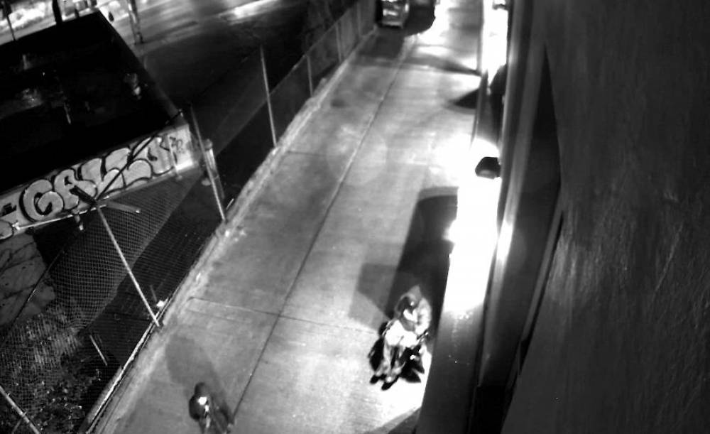 Arecont Vision® Megapixel Cameras Identify Graffiti Culprits for Seattle Retail Building