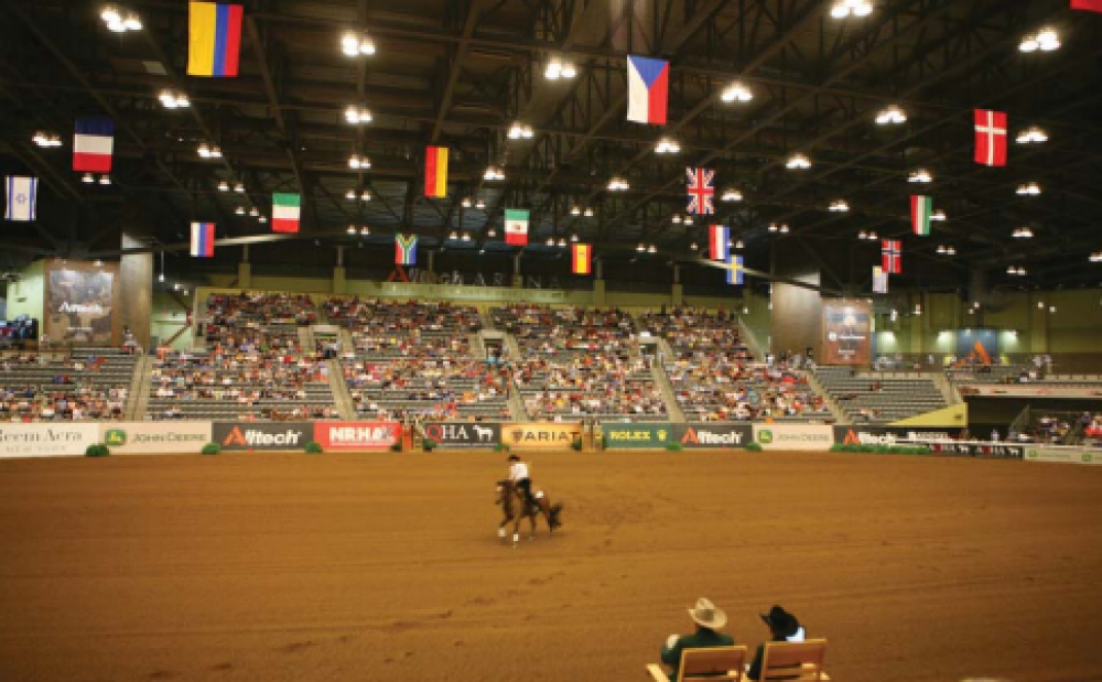 Arecont Vision Named Key Sponsor of World Equestrian Games